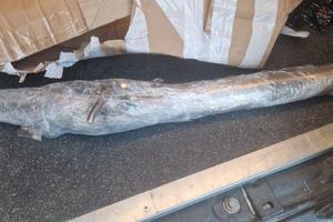 centrale formentor 2.0 190cv 