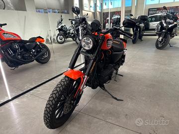 Harley-davidson XL 883