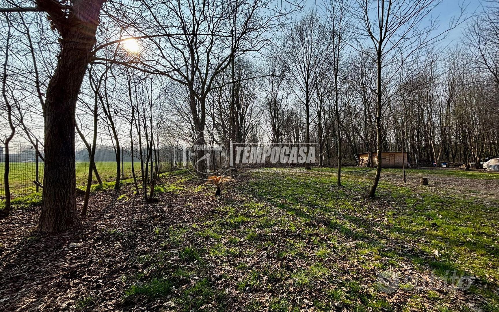 TERRENO AGRICOLO - Vista 3