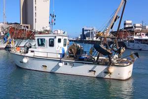 Barca Pesca Professionale+LICENZA+Attrezzatura