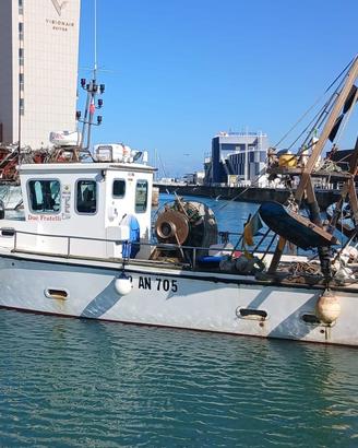 Barca Pesca Professionale+LICENZA+Attrezzatura