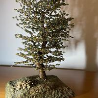 Bonsai in rame e perline