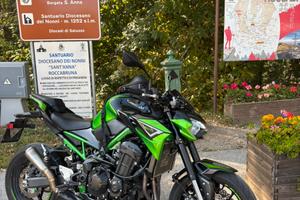 Kawasaki Z900 - 2022