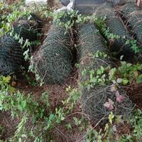 RETE METALLICA PLASTIFICATA