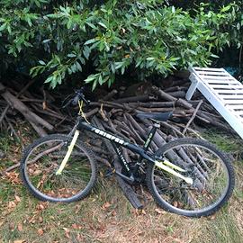 Mountain bike