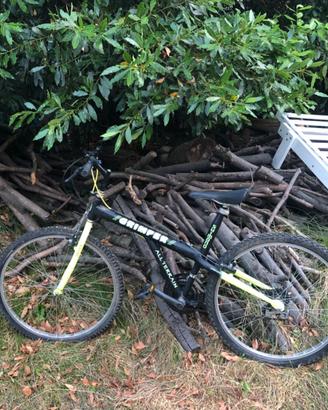 Mountain bike