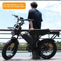 bicicletta elettrica (NUOVA)