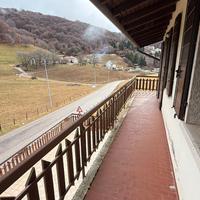 Semindipendente con terrazzo e giardino