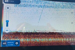 Ecoscandaglio Gps Furuno GP1971F