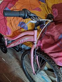 Moutain bike