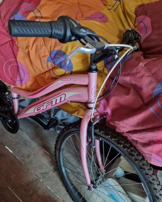 Moutain bike