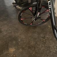 Bicicletta elettrica