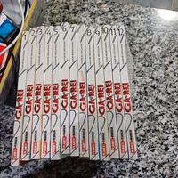 Ga-Rei Il Divoratore di Spiriti + Speciale Manga