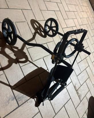 Carrello supporto