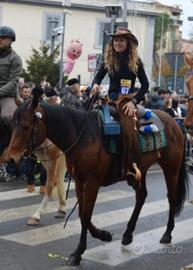 Cavallo quarter