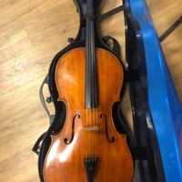 Violoncello