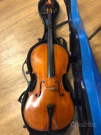 Violoncello