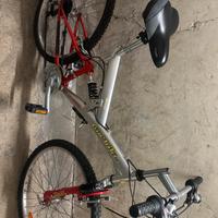 Bici Mountanbike 26 pollici