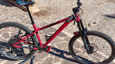 Canyon Stoic 3 + Lyrik,  taglia L, ruote 29, 2023