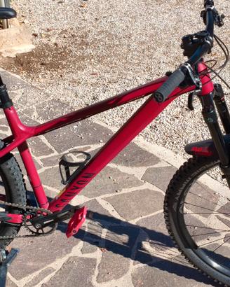 Canyon Stoic 3 + Lyrik,  taglia L, ruote 29, 2023