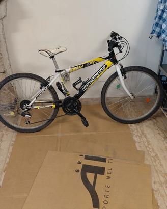 Bici ragazzo
