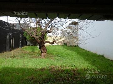 Terreno Edificabile Monteiasi Taranto