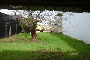 Terreno Edificabile Monteiasi Taranto