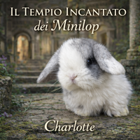 Cuccioli Super promo Minilop