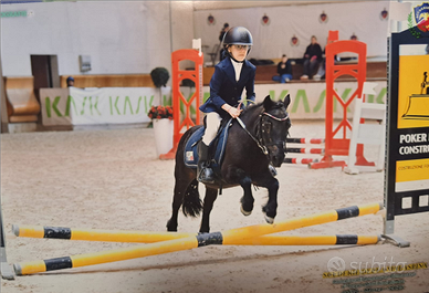 Pony shetland salto