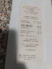 Passeggino per anziani