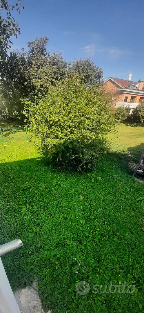 Monta' s.ignazio indipendente con giardino - Vista 3