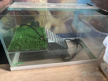 Terracquario/tartarughiera