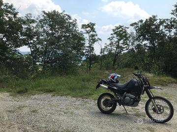 Honda Dominator 650