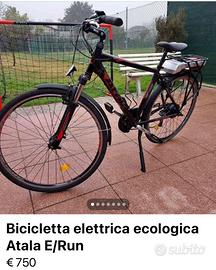 Bici elettrica