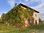 Immagine 7