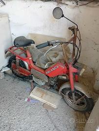 Malanca 50 cc