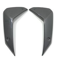 FIANCHETTI LATERALI RADIATORE CARBONIO BMW R1300GS