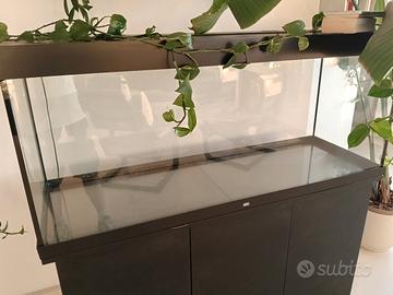 acquario Juwel 500 litri 