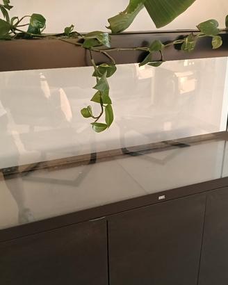acquario Juwel 500 litri 