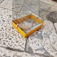 Gabbietta x piccoli animaletti