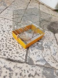 Gabbietta x piccoli animaletti