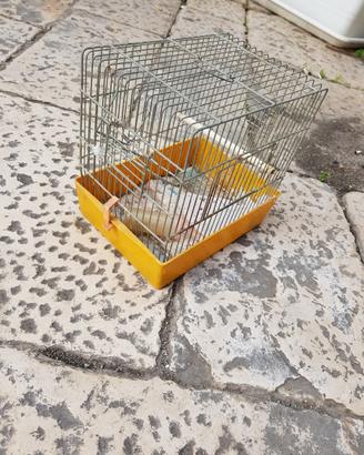 Gabbietta x piccoli animaletti