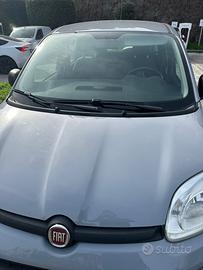 Fiat Panda 1.2 Benzina