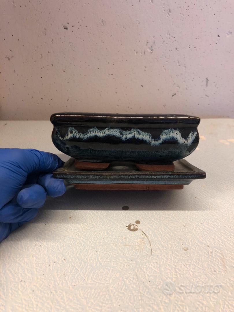 5 Pezzi in plastica di Alme di Cocco Miniatura Pianta Vasi Bonsai Artigianato Micro Paesaggio Fai da Te Decorazione Matrimonio San Decorazione