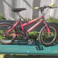 Mountain Bike Silver Star 16