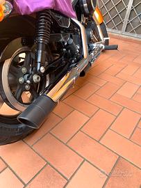 Terminali Harley Davidson Street Cannon