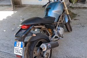 monster 600