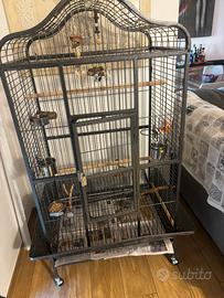 GABBIA PAPPAGALLI XXL