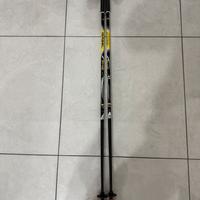 Bastoni per escursionista