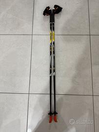 Bastoni per escursionista